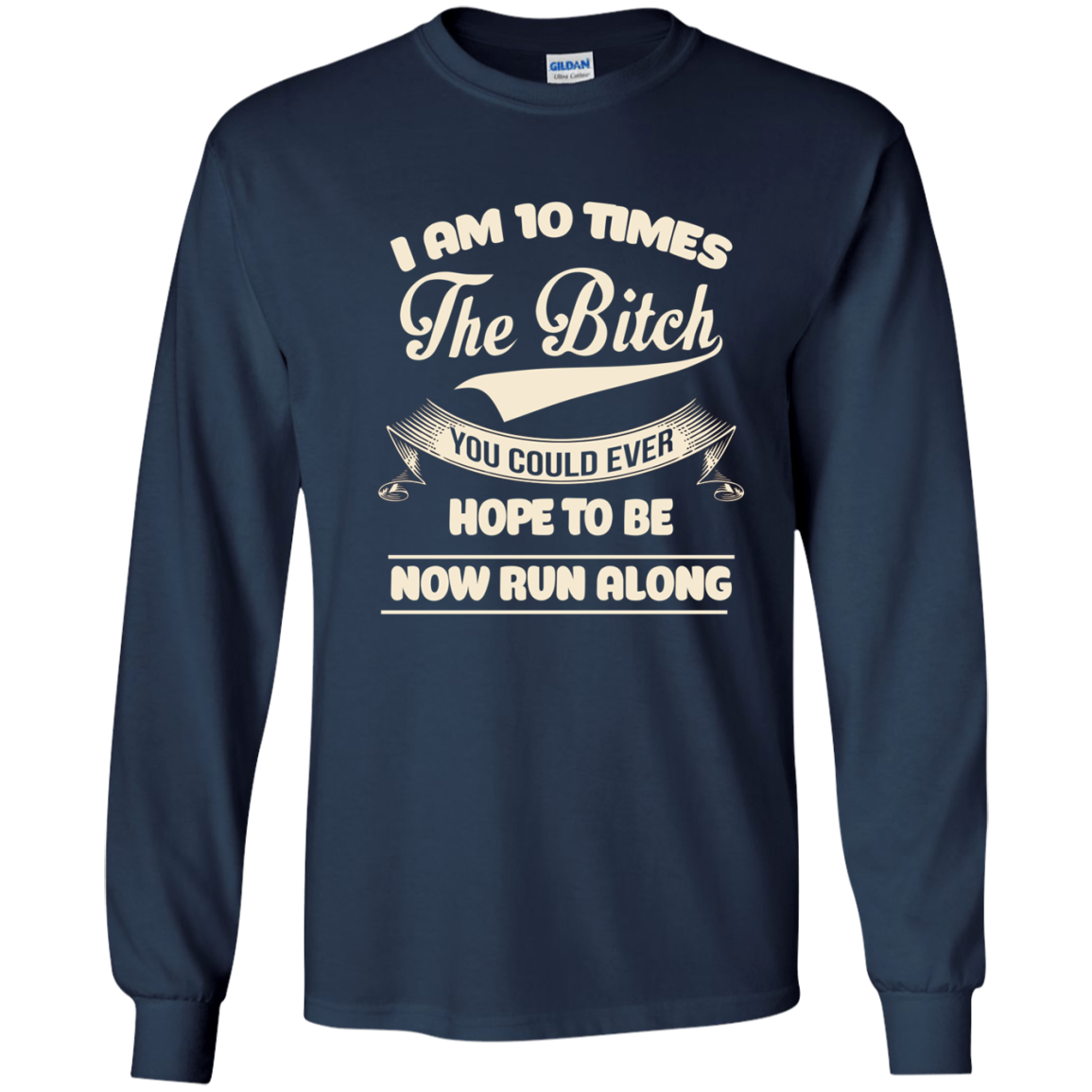 I am 10 time the bitch you could ever hope to be now run along shirt,